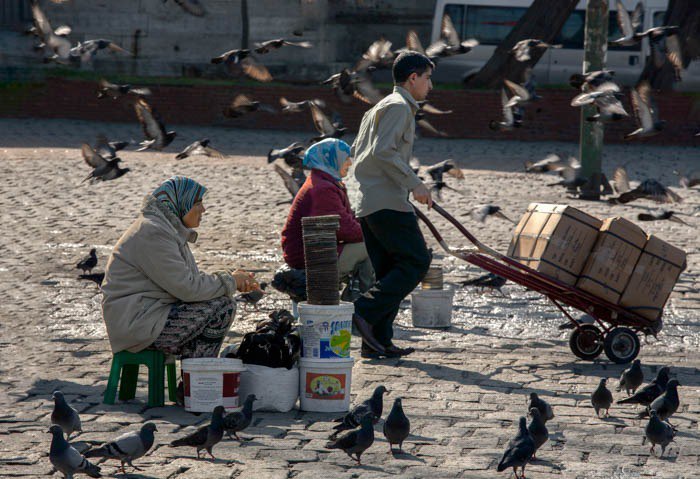 نمایش تصویرهای رضی میری