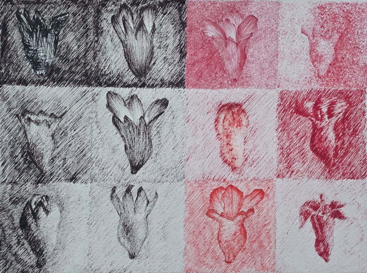 15x20 cm                                          Ink on cardboard