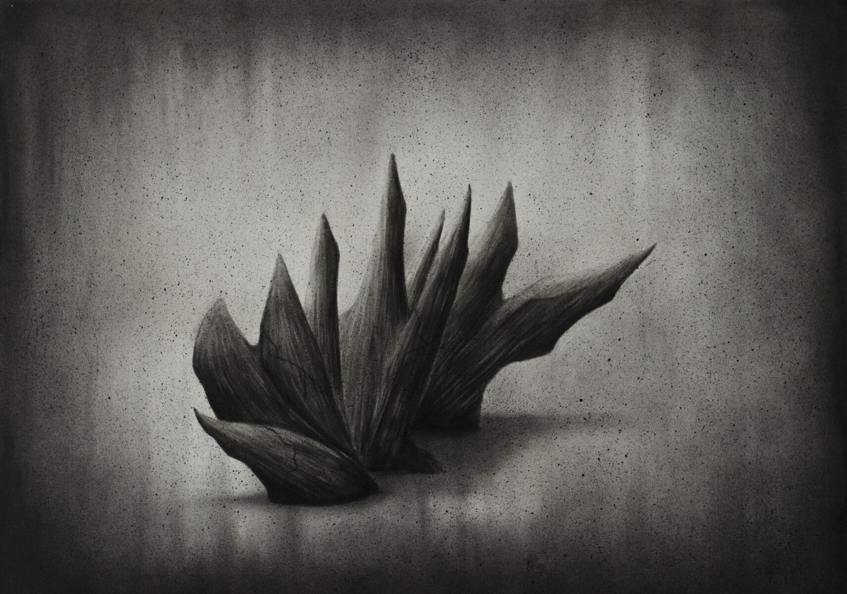 Medium charcoal on cardboard 56x70 cm                                     2023