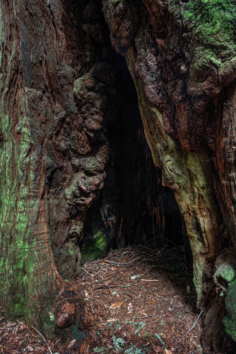 نمایش عکس های رضی میری