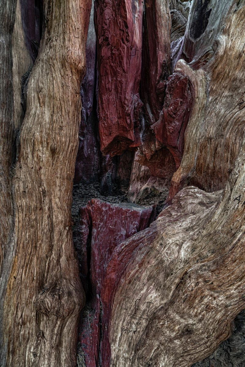 نمایش عکس های رضی میری