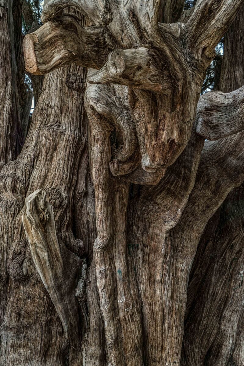 نمایش عکس های رضی میری