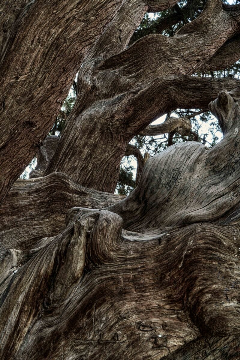 نمایش عکس های رضی میری