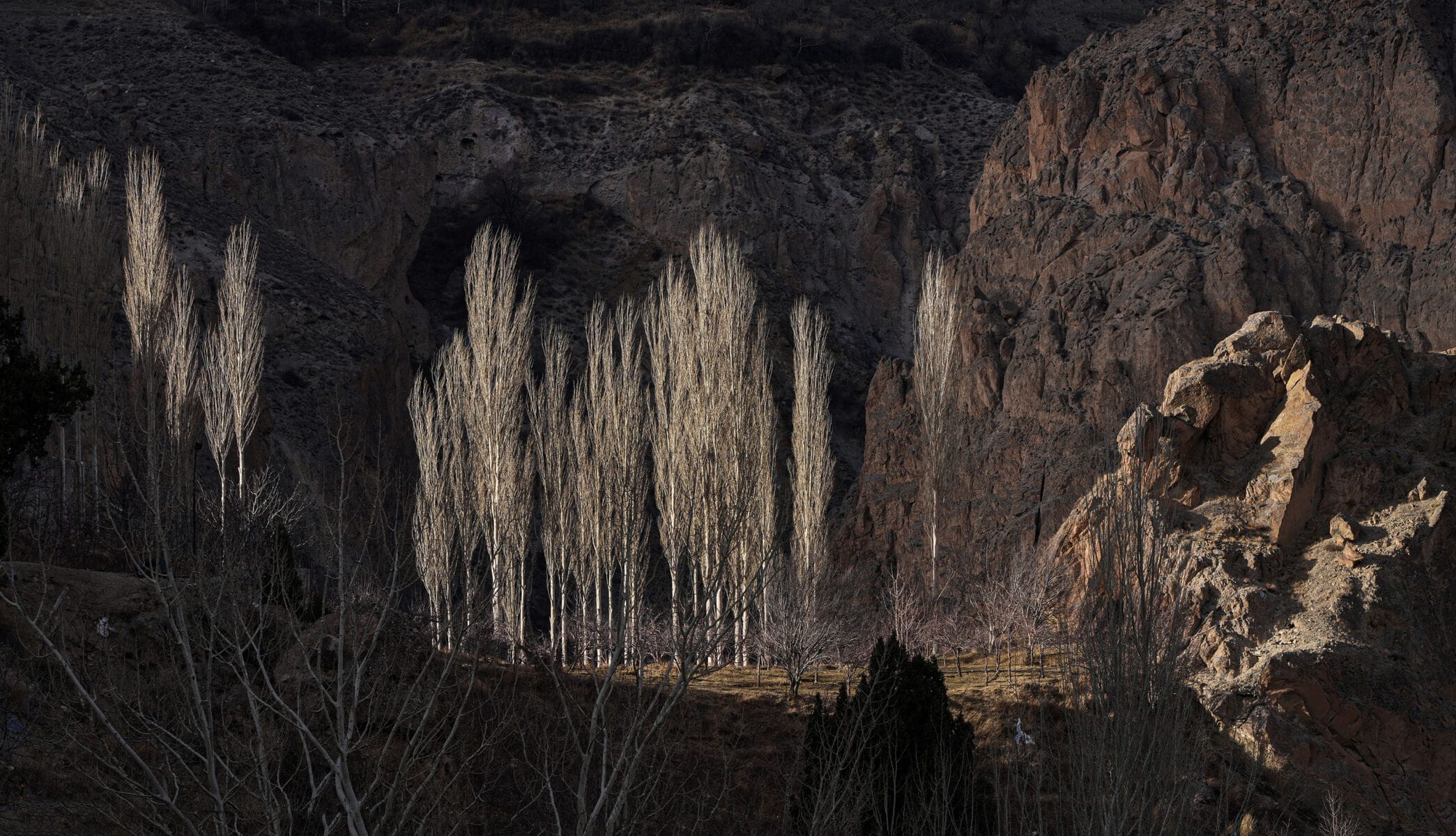 نمایش عکس های رضی میری