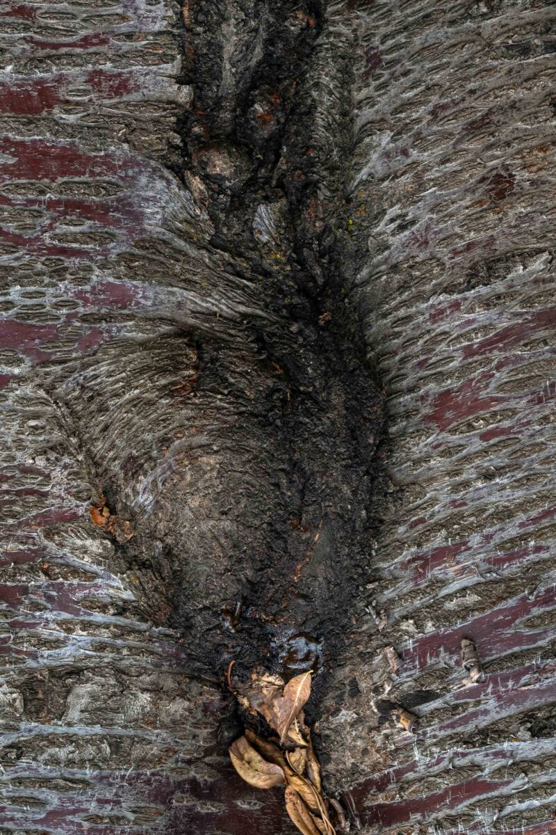 نمایش عکس های رضی میری