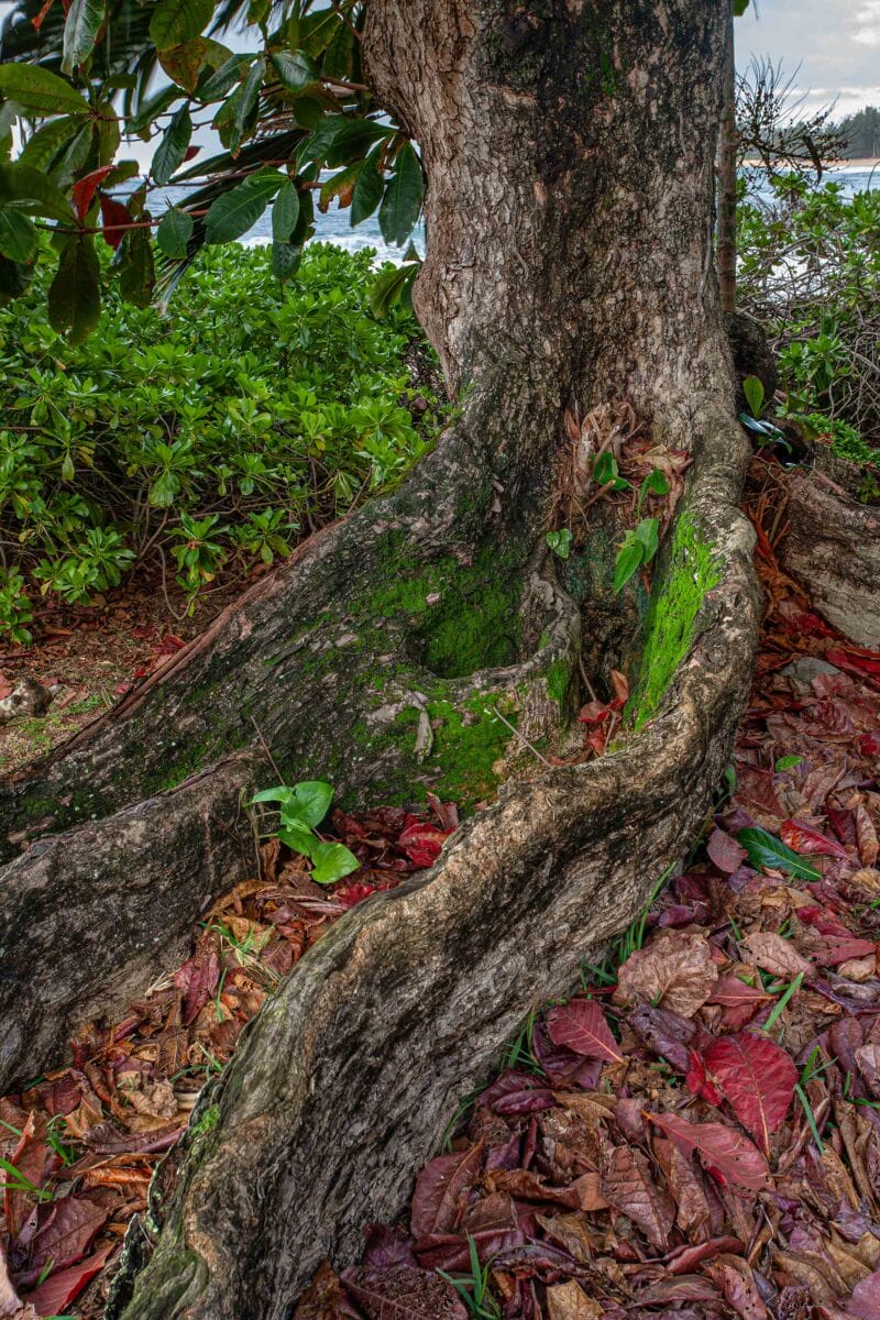 نمایش عکس های رضی میری