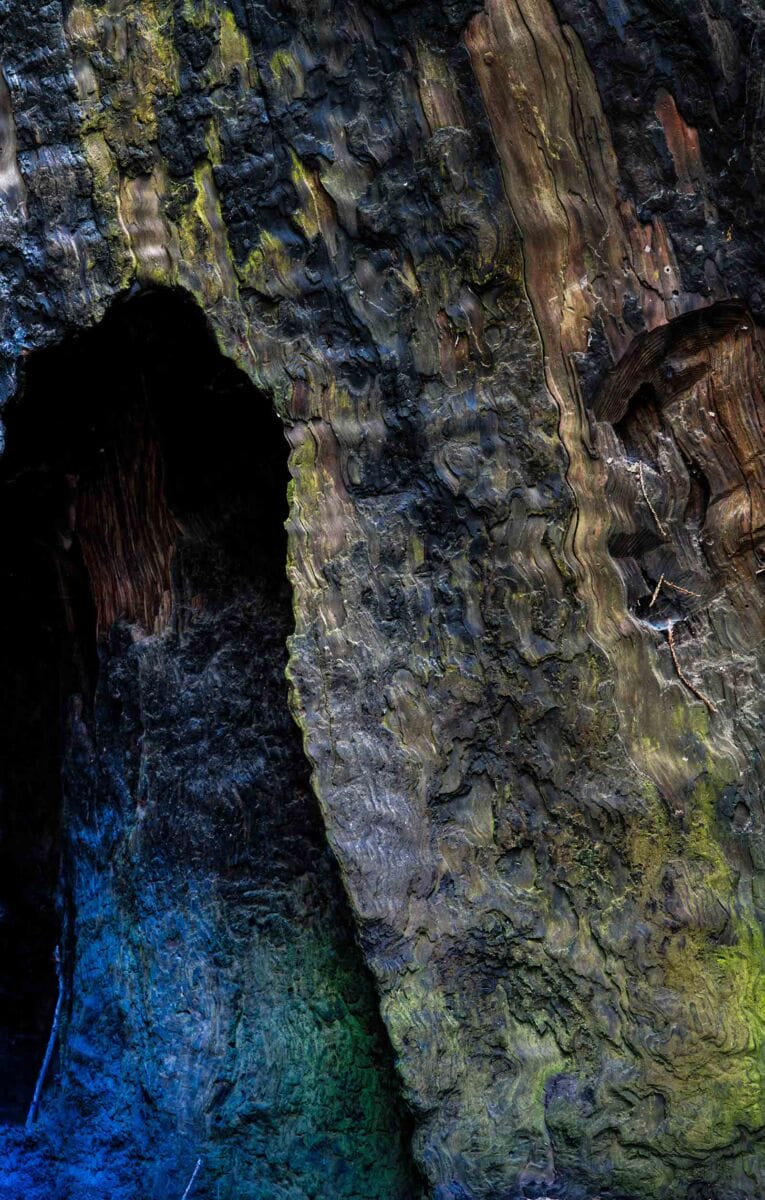 نمایش عکس های رضی میری