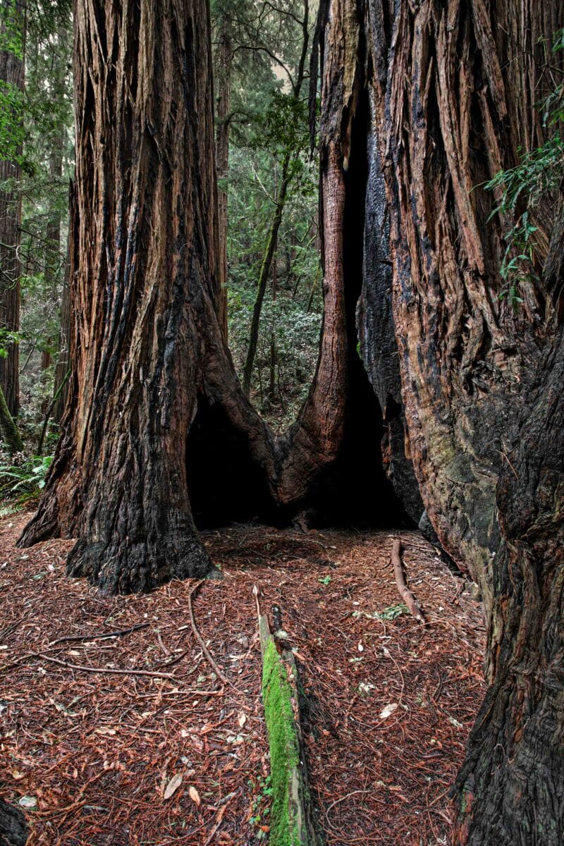 نمایش عکس های رضی میری