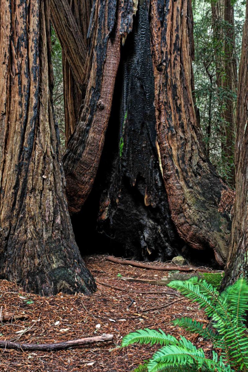 نمایش عکس های رضی میری