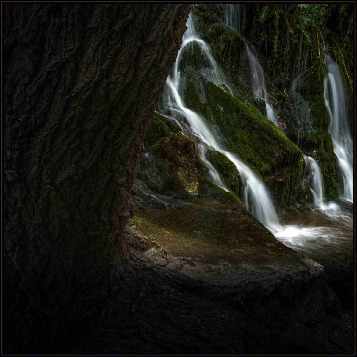 نمایش عکس های رضی میری