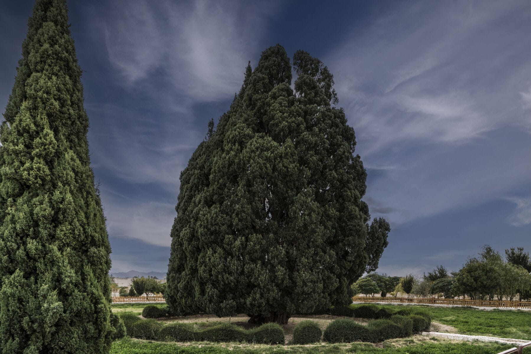 نمایش عکس های رضی میری