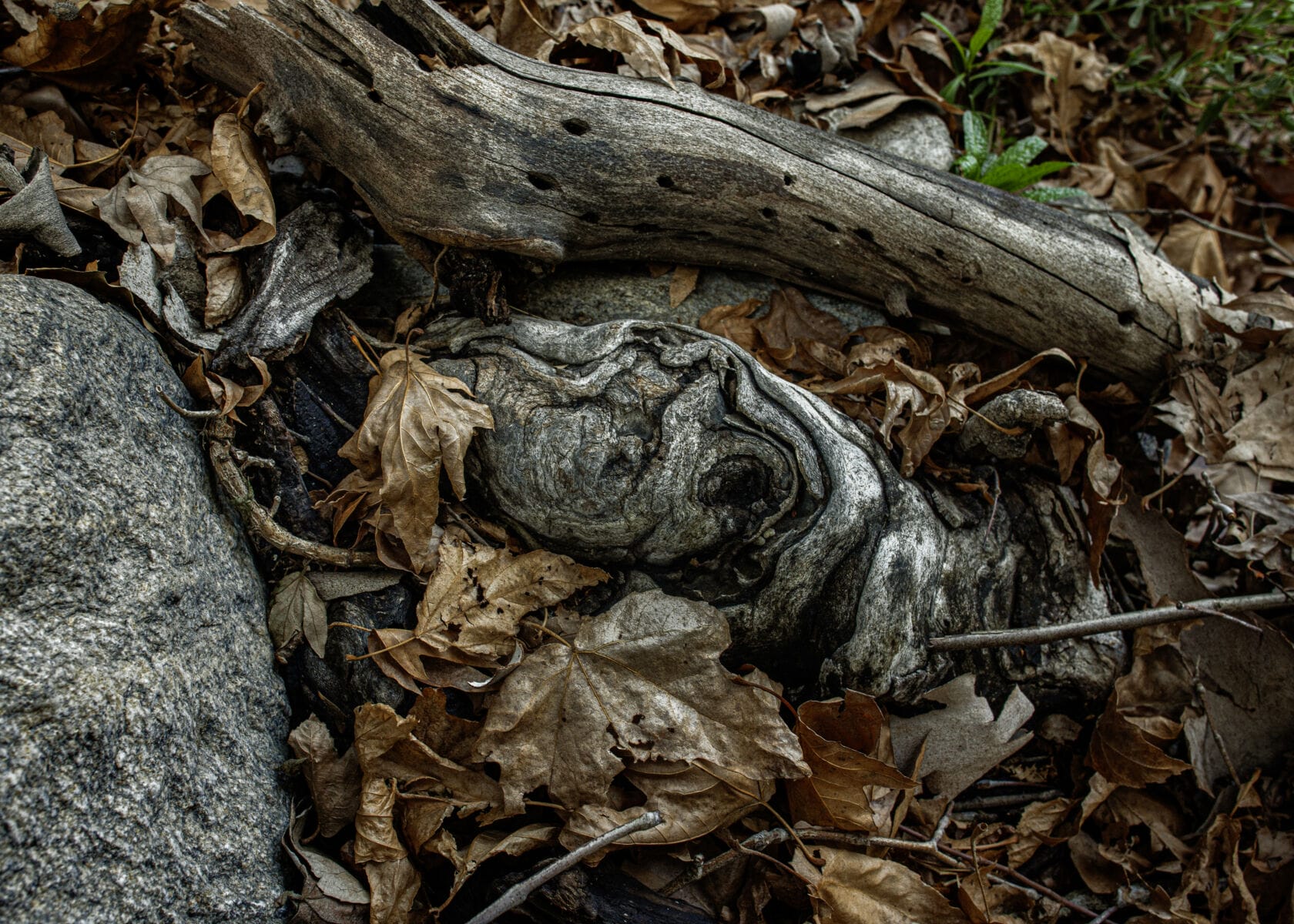 نمایش عکس های رضی میری