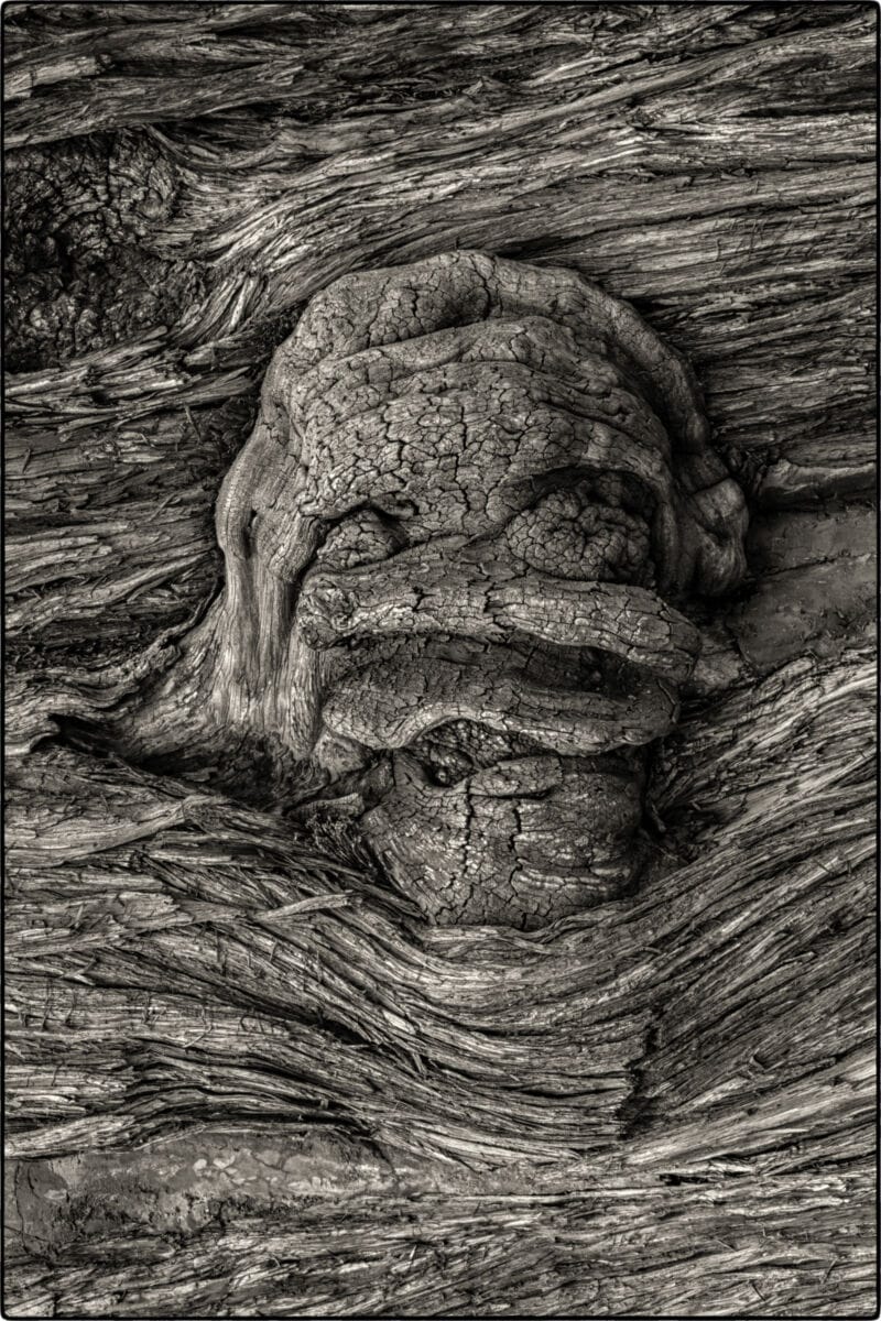 نمایش عکس های رضی میری