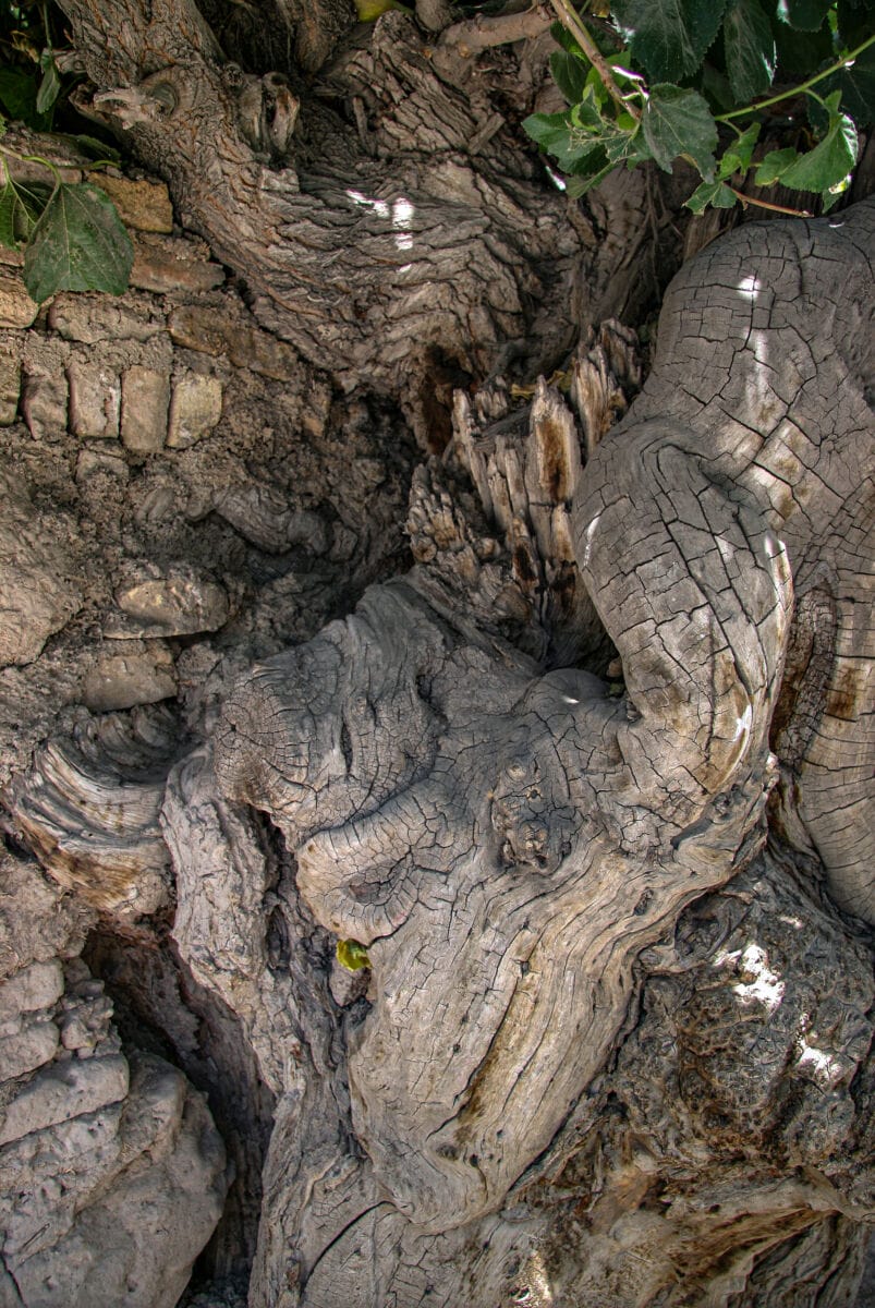 نمایش عکس های رضی میری