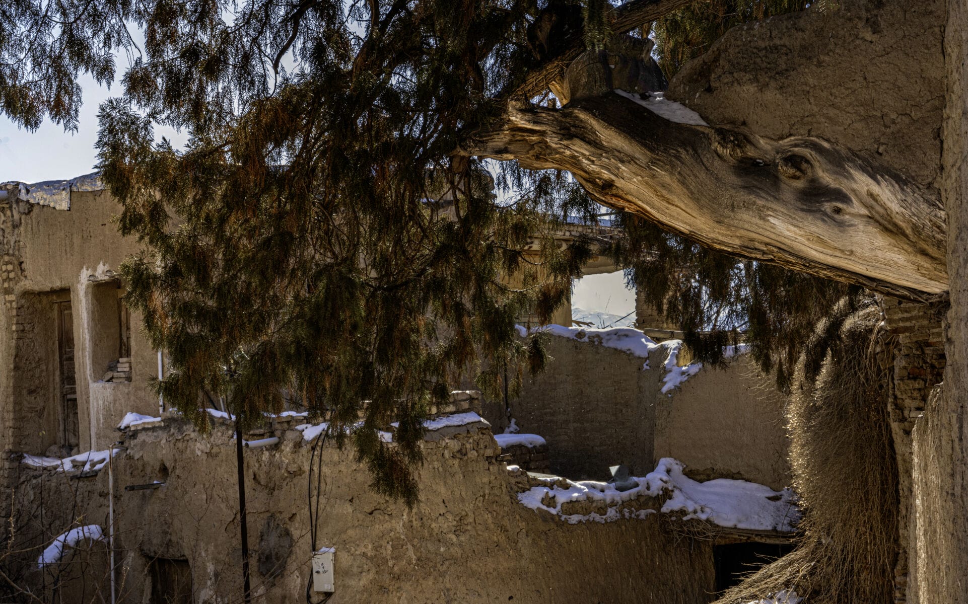 نمایش عکس های رضی میری