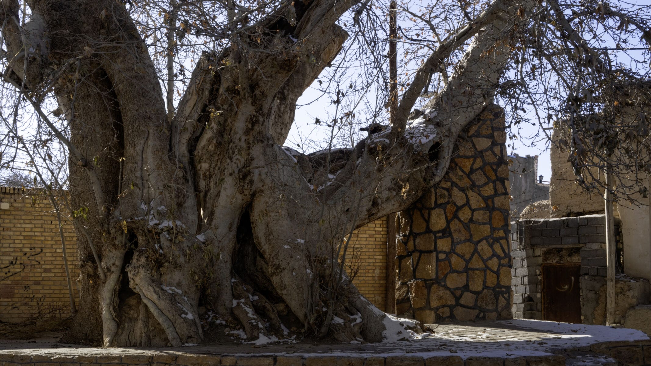 نمایش عکس های رضی میری