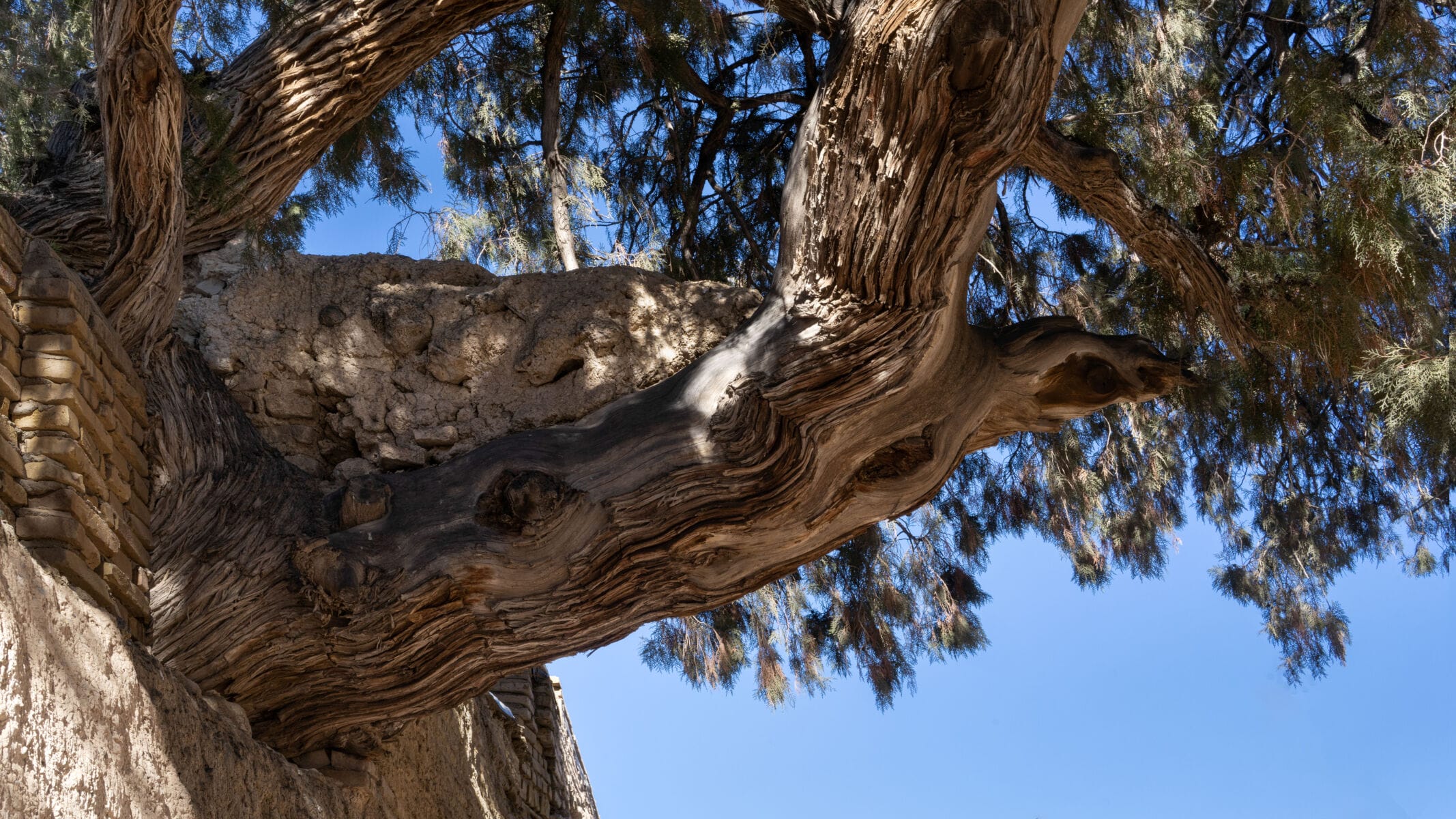 نمایش عکس های رضی میری