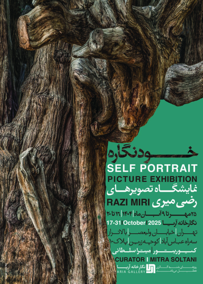 نمایش عکس های رضی میری