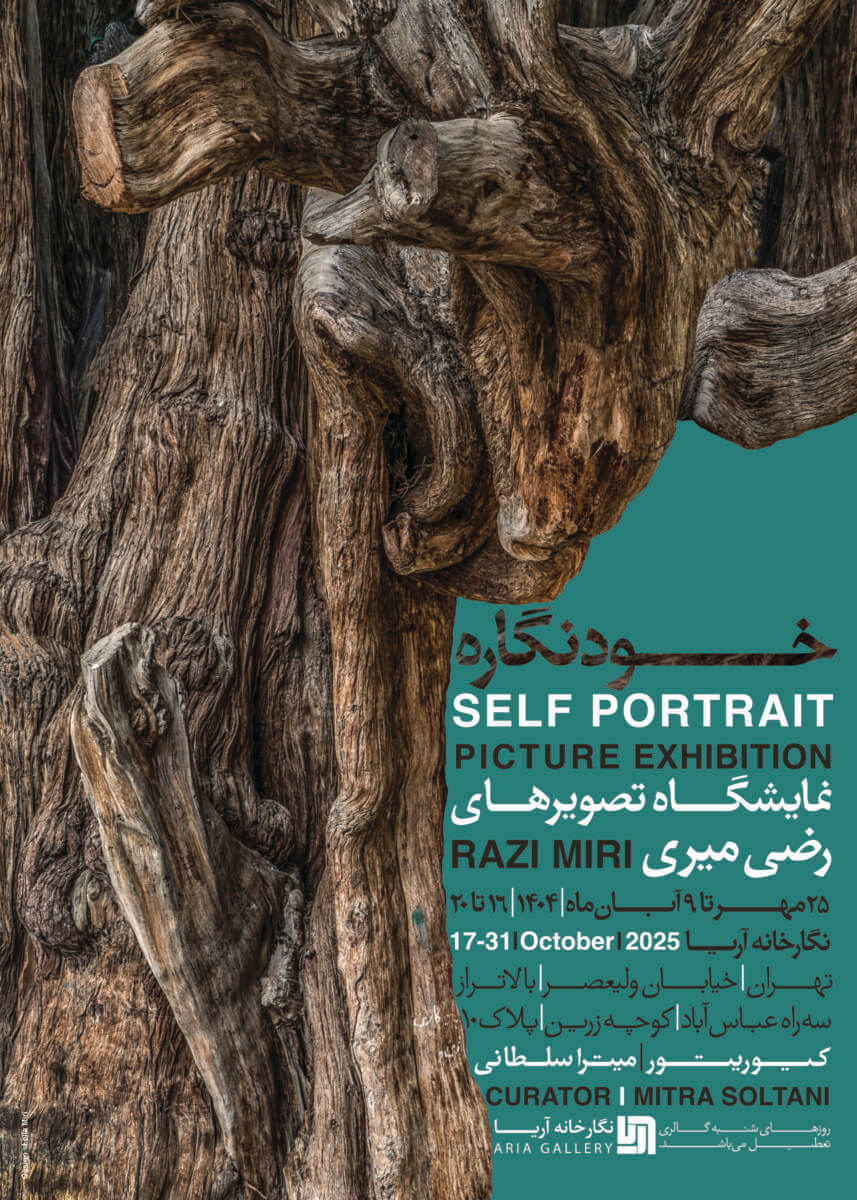 خودنگاره "نمایش عکس های رضی میری"