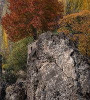 نمایش عکس های رضی میری