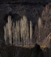 مازندران (2023)