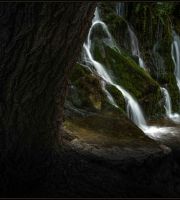 نمایش عکس های رضی میری