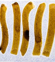 نمایش آثار هادی هزاوه ای