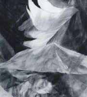 ذغال روی کاغذ                                50x30 سانتی متر