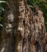 نمایش عکس های رضی میری