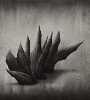 Medium charcoal on cardboard 56x70 cm                                     2023