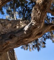 نمایش عکس های رضی میری