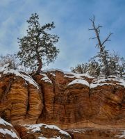 USA Utah-Zion (2008)