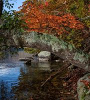 نمایش عکس های رضی میری