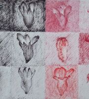 15x20 cm                                          Ink on cardboard