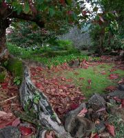 نمایش عکس های رضی میری