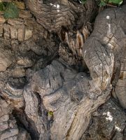 نمایش عکس های رضی میری