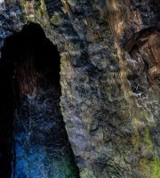 نمایش عکس های رضی میری