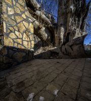 نمایش عکس های رضی میری