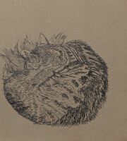 ۲۲ در ۳۱ سانتی متر                                قلم فلزی روی کاغذ                               ۱۴۰۳