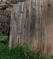 نمایش عکس های رضی میری