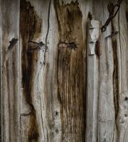 نمایش عکس های رضی میری