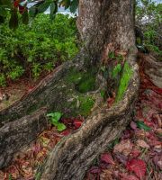 نمایش عکس های رضی میری