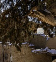 نمایش عکس های رضی میری