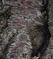 نمایش عکس های رضی میری