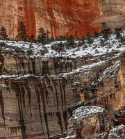 USA Utah-Zion (2008)