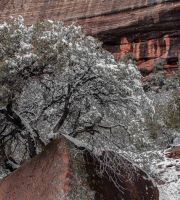 نمایش عکس های رضی میری